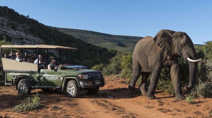 Shamwari Eagles Crag