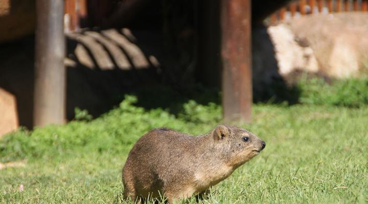 Gooderson Leisure Natal Spa Self Catering and Timeshare Resort