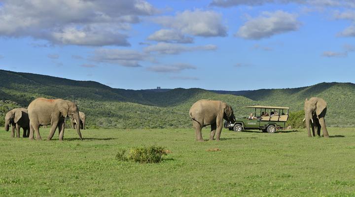 Shamwari Eagles Crag