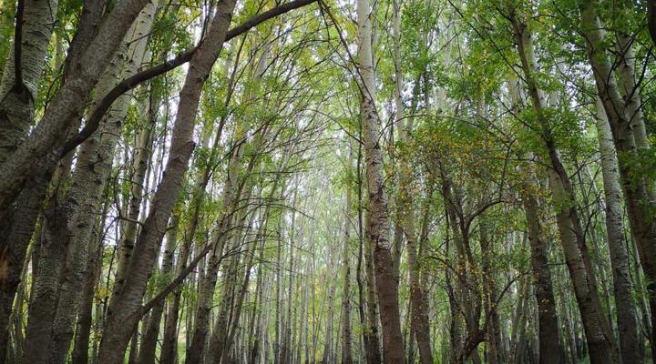 Karnmelkspruit River Resort