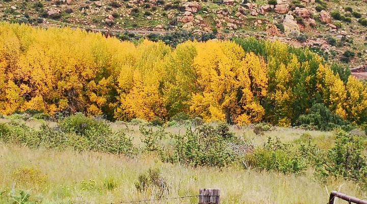 Karnmelkspruit River Resort