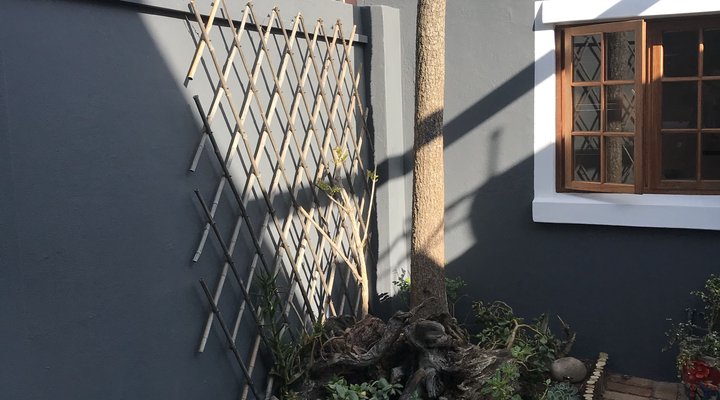 Courtyard Cottage, Muizenberg; Cosy Studio Flat