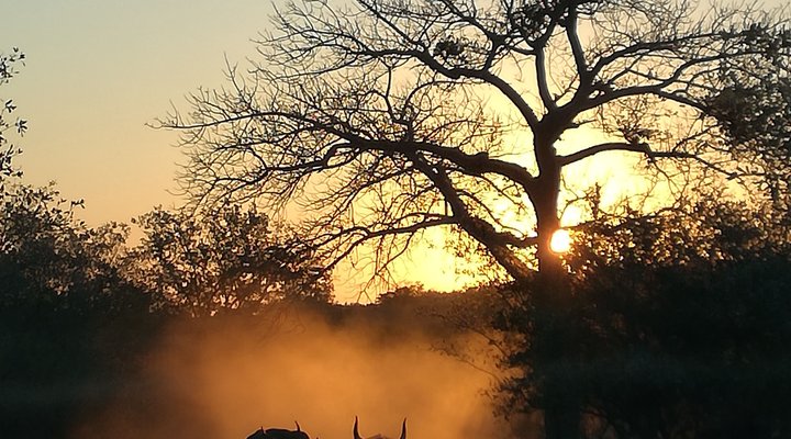 Tshulu Wilderness Camp