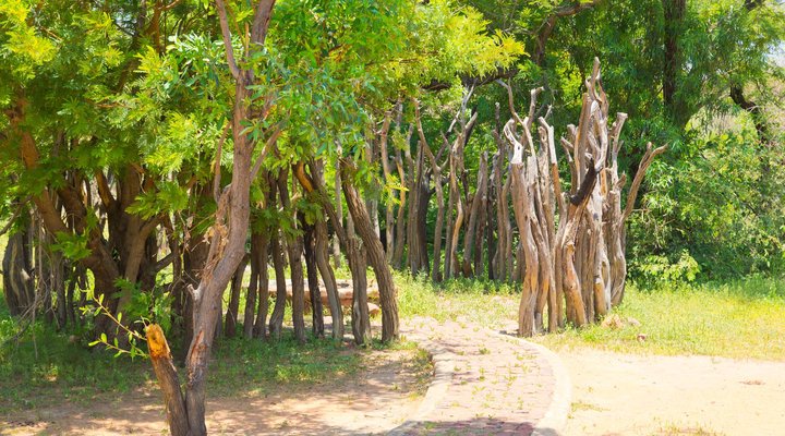 Elephant Lodge 150