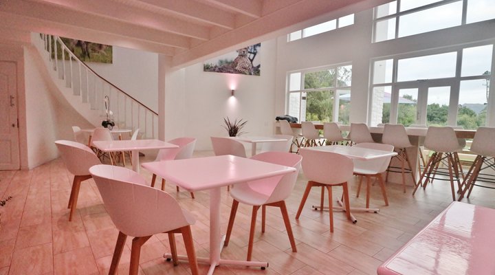 TheLAB Cape Town | Tarragona