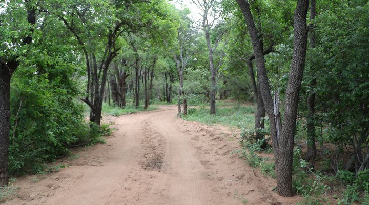 Intibane Bush Lodge