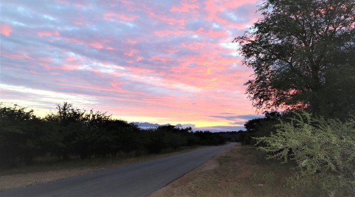Intibane Bush Lodge