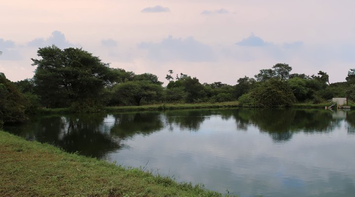 Intibane Bush Lodge