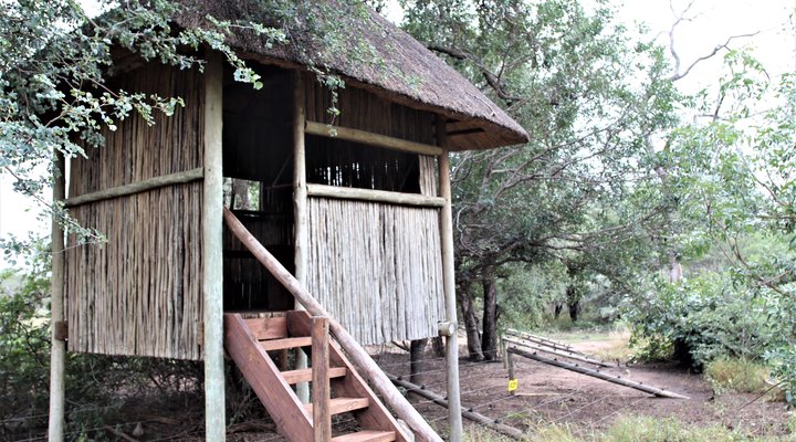 Intibane Bush Lodge