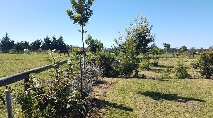 Cypress Hill Horse Farm