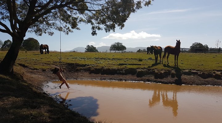 Cypress Hill Horse Farm