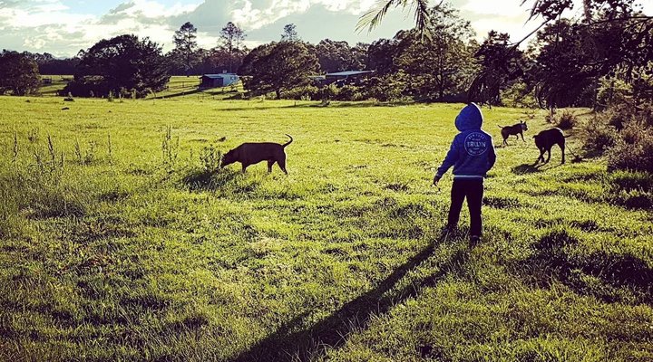 Cypress Hill Horse Farm