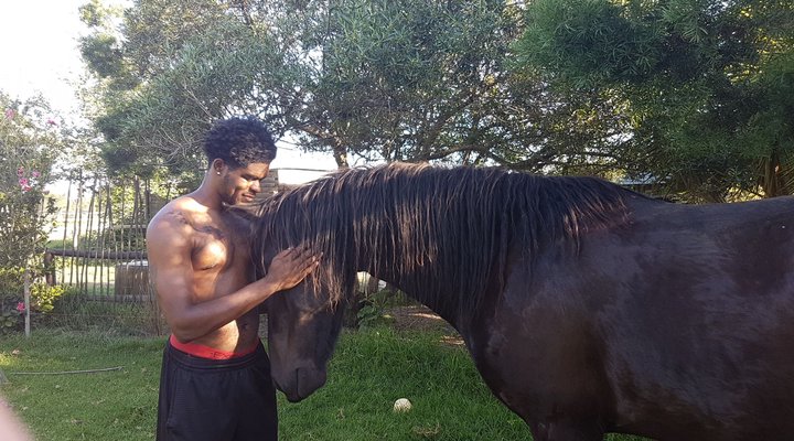 Cypress Hill Horse Farm