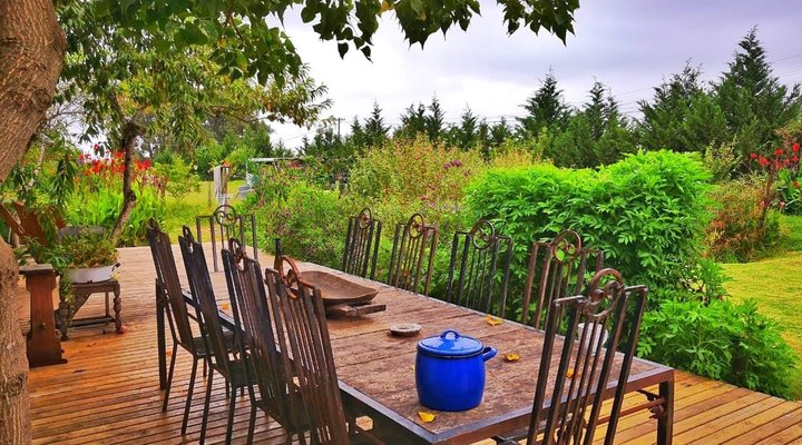 Cypress Hill Horse Farm