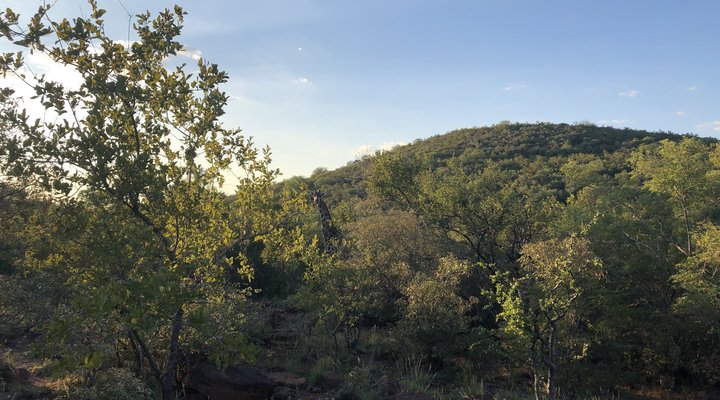 Ibala Bala Game Lodge