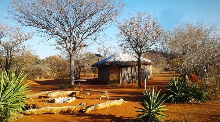 Mamselle Nature Camp