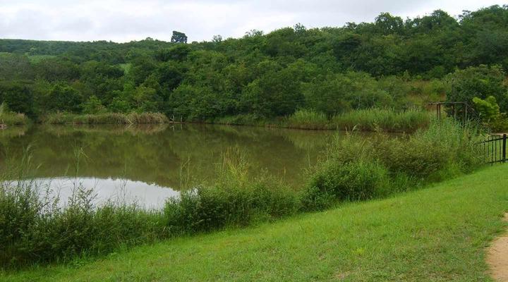 Hazypark Lodge and Caravan Park