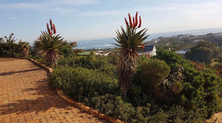 Klip Cottage – Guest House – Western Cape, Rooiels