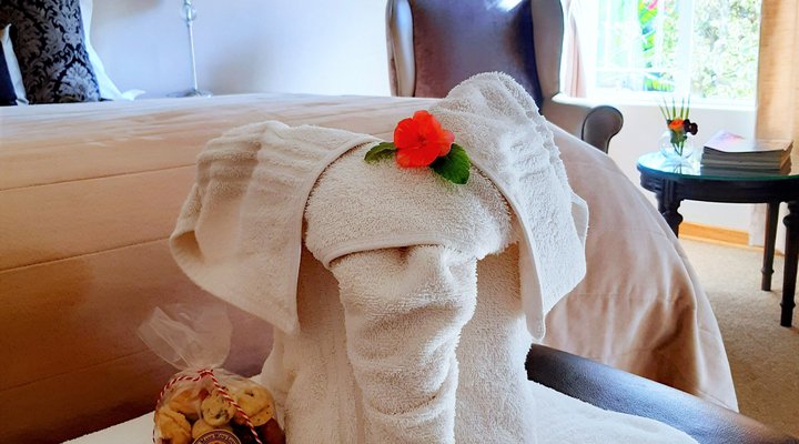 Platinum Guest House