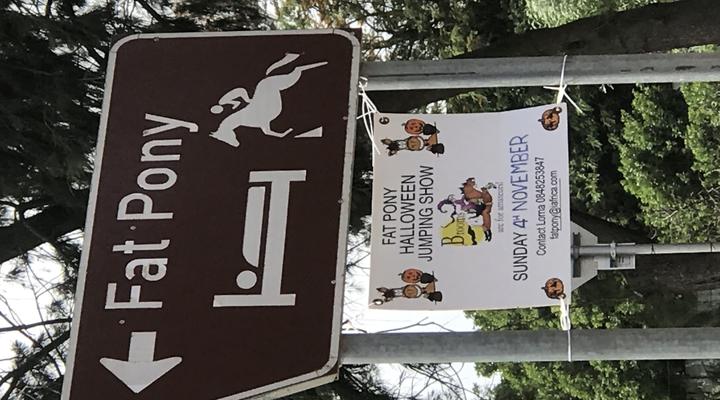 Fat Pony Backpackers & Riding Centre