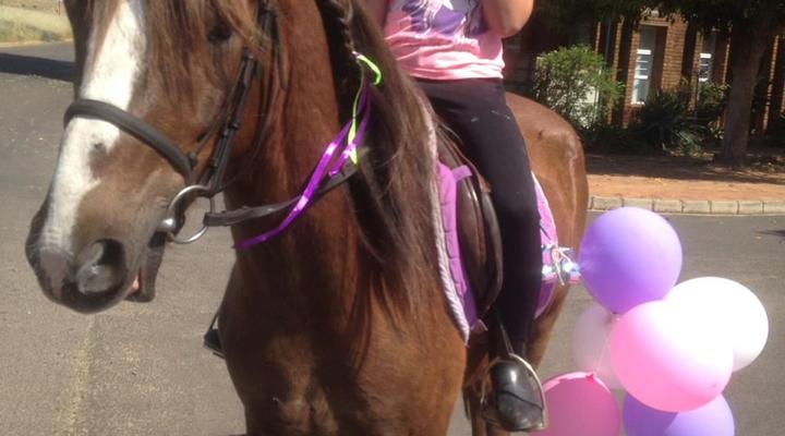 Fat Pony Backpackers & Riding Centre