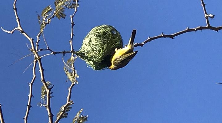 Fat Pony Backpackers & Riding Centre