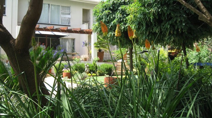 50 Homestead Street B&B| JHB Intl. Airport
