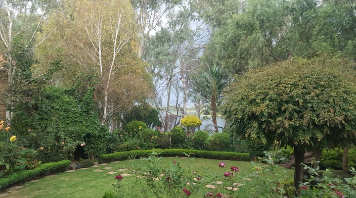 50 Homestead Street B&B| JHB Intl. Airport