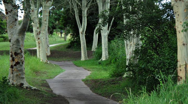 Kruger Park Lodge Unit No. 252