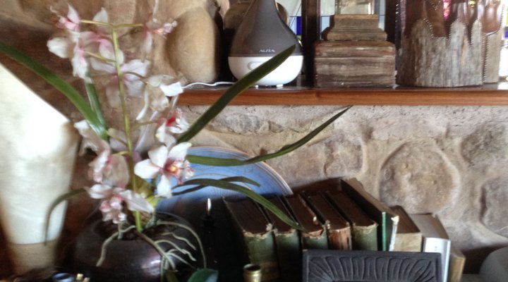 Little Wing Eco-Friendly Country Escape
