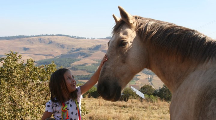 Little Wing Eco-Friendly Country Escape
