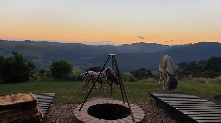 Little Wing Eco-Friendly Country Escape