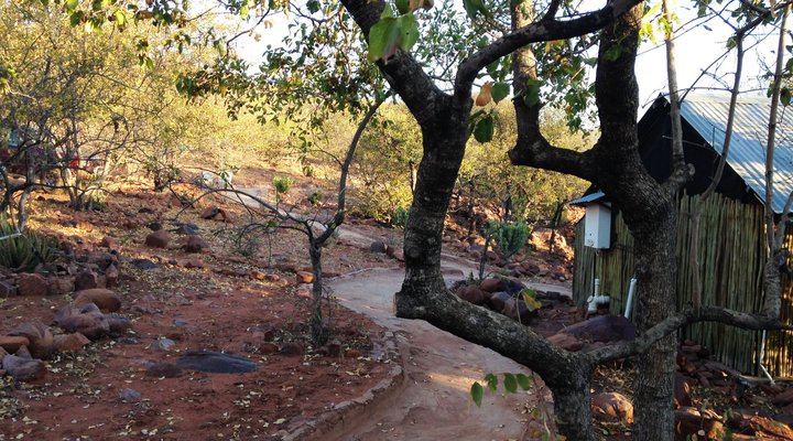 Tshulu Wilderness Camp