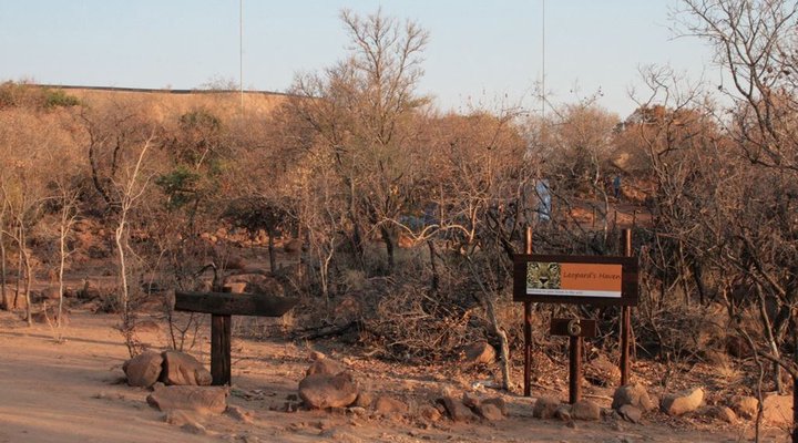 Leopards Haven