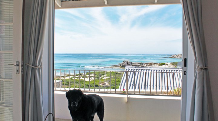 The Pink Palace - Sea View