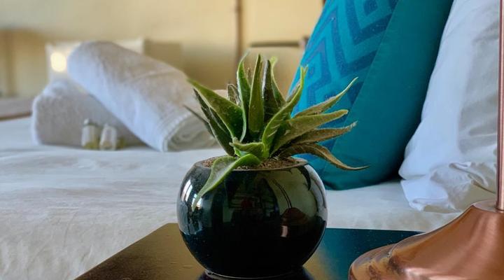 Horse's Neck Guest Lodge