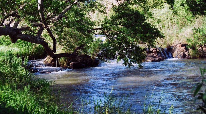 Rosesands Guest Farm