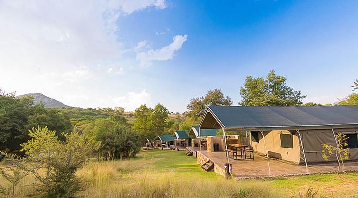 Bushwillow Tented Camp