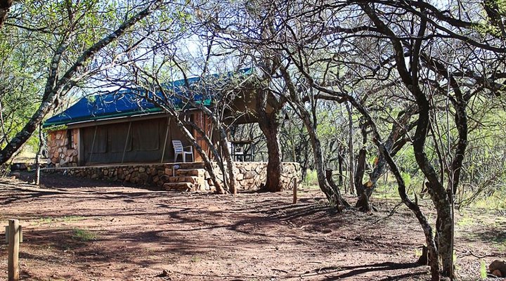 Thwane Bush Camp