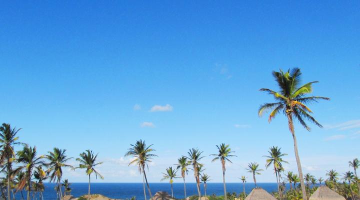 Guinjata House and Chalets