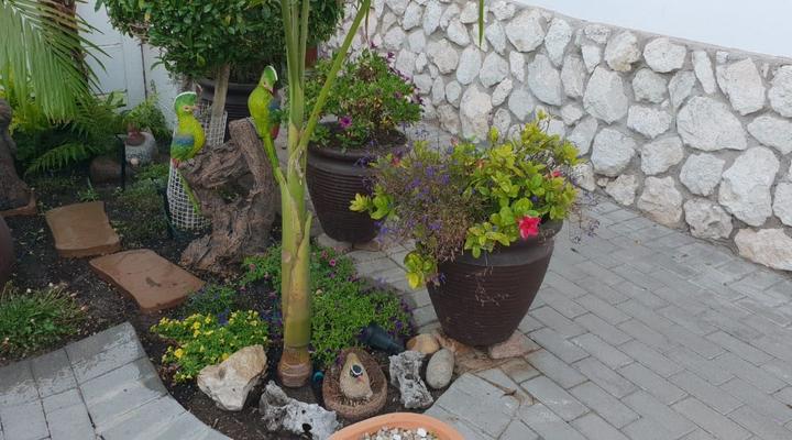 Susan's Accommodation