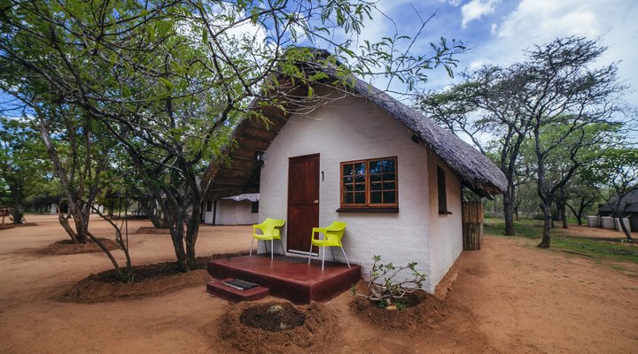 Wild Dogs Safari Lodge