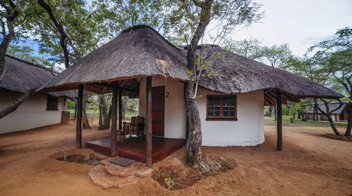 Wild Dogs Safari Lodge