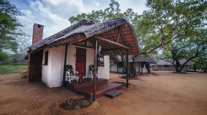 Wild Dogs Safari Lodge