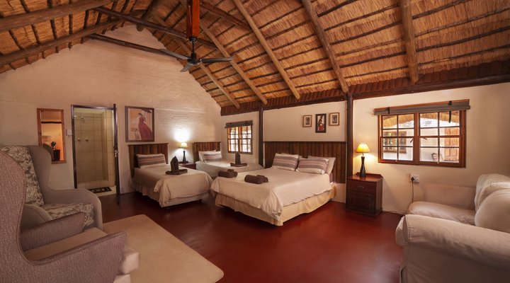 Wild Dogs Safari Lodge