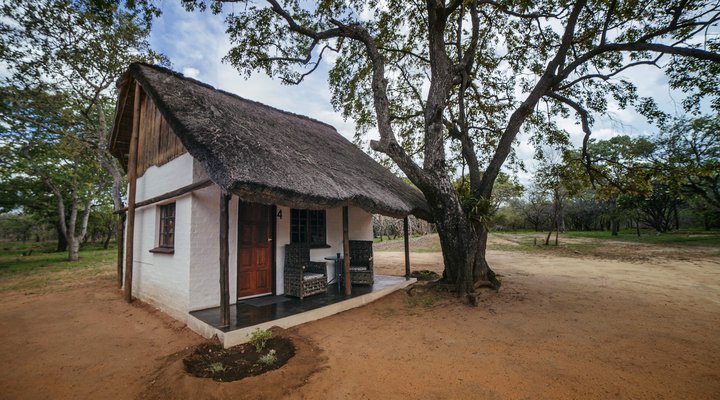 Wild Dogs Safari Lodge