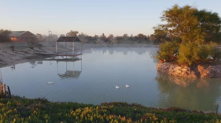 The Barnard's Barnyard