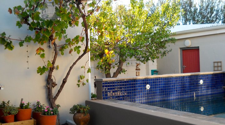 Daisy Darling Bed & Breakfast