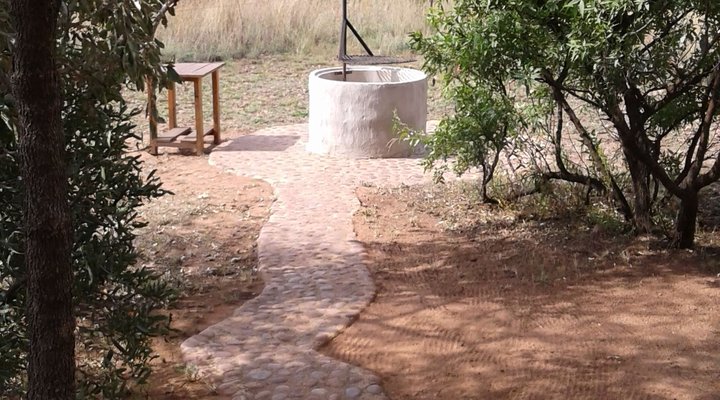 Five Pebbles on Piece of Africa