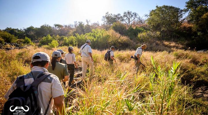 Toro River Lodges